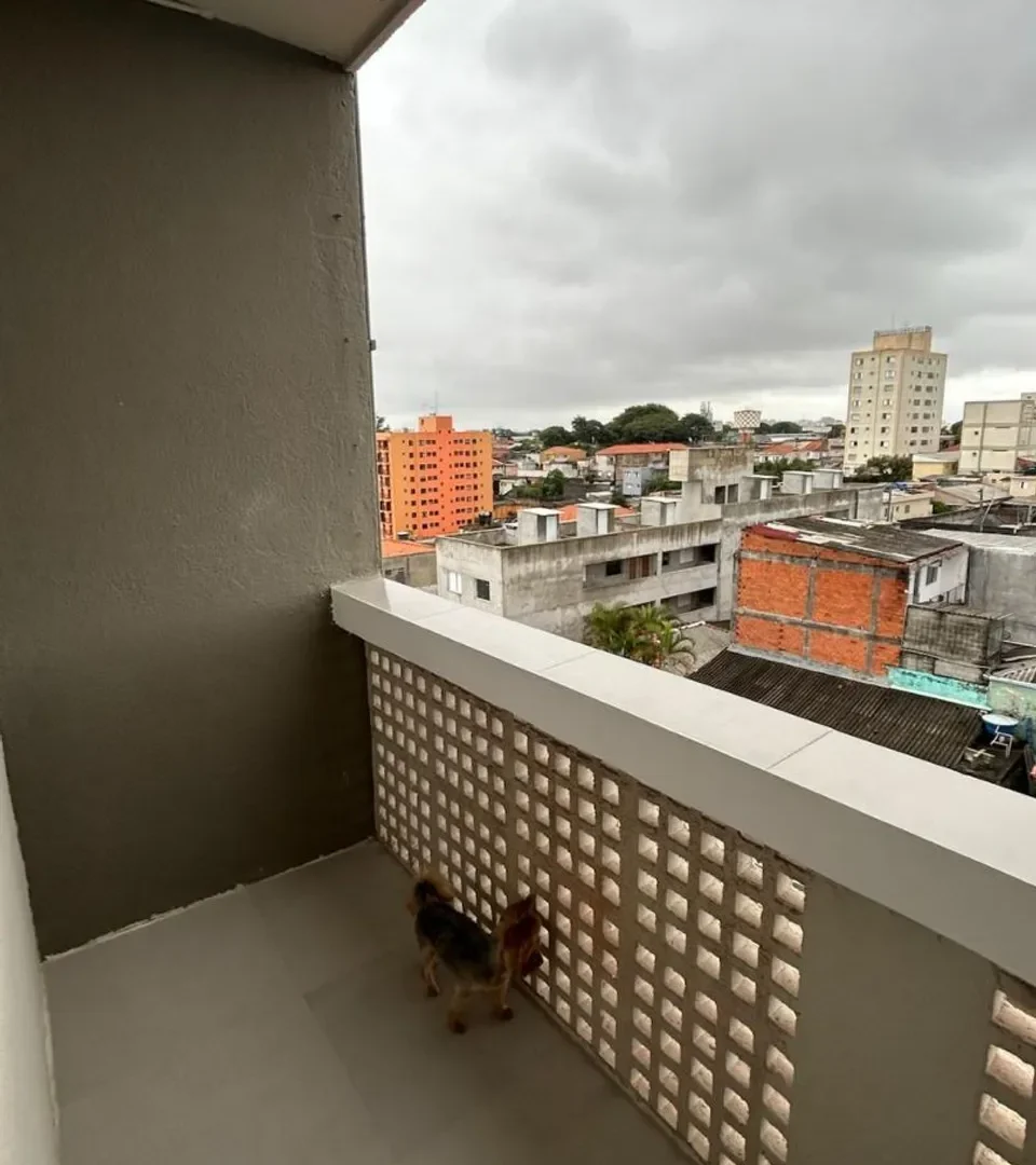 WV Foto do imóvel - https://wvassessoriaimobiliaria.com/wp-content/uploads/2025/05/557586888796810-960x1080.webp